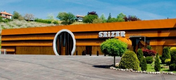 Grupo Saizar